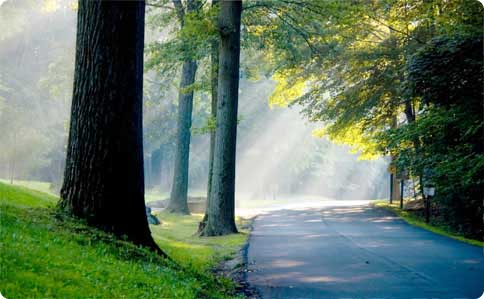 your path
