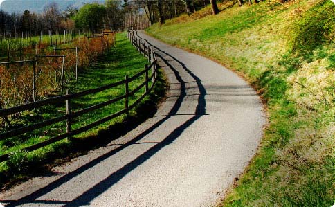 your path